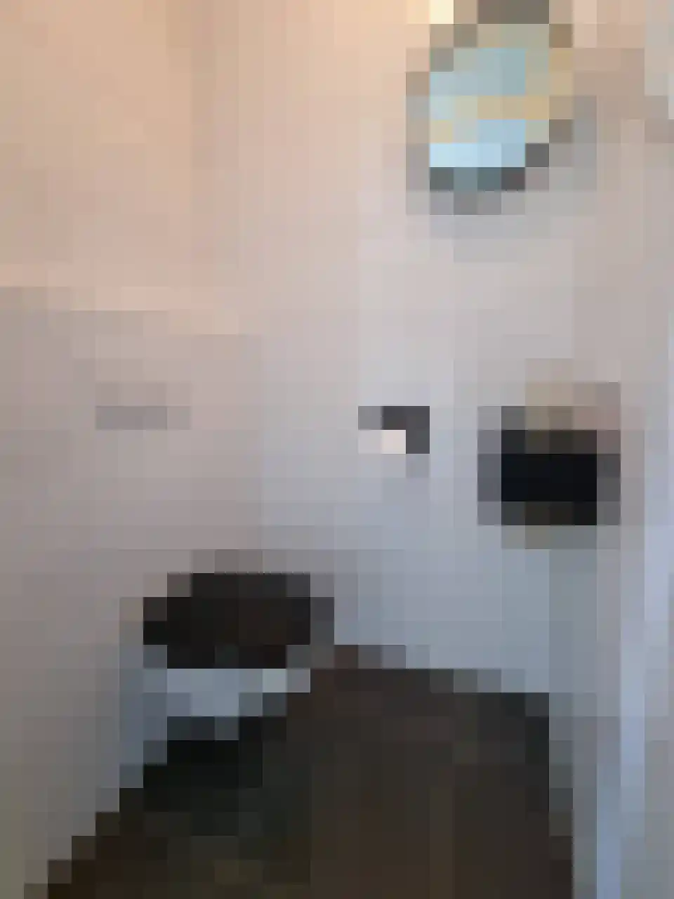 Rimpelmos 16 Houten thumbnail 9