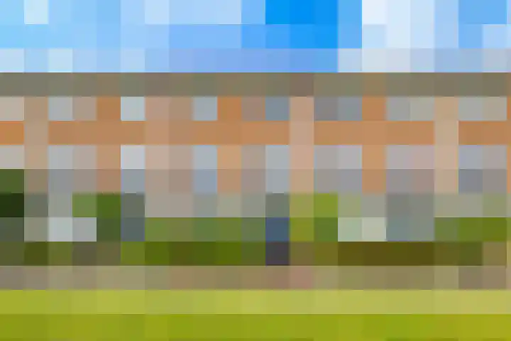 Rimpelmos 4 Houten