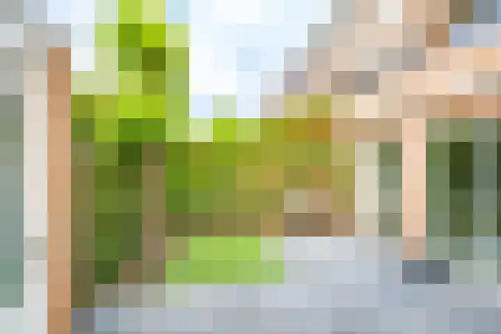 Rimpelmos 4 Houten thumbnail 15