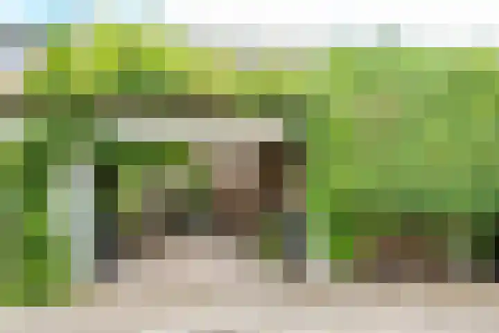 Rimpelmos 4 Houten thumbnail 16