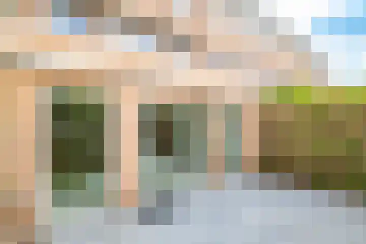 Rimpelmos 4 Houten thumbnail 18