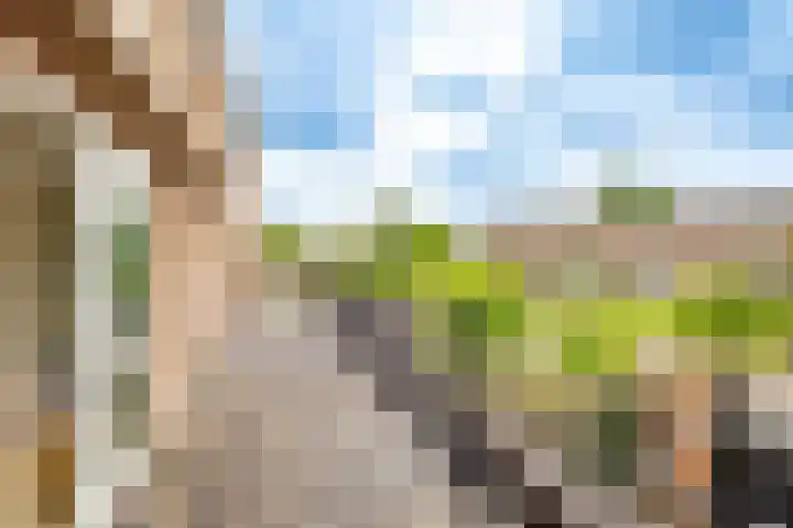 Rimpelmos 4 Houten thumbnail 26