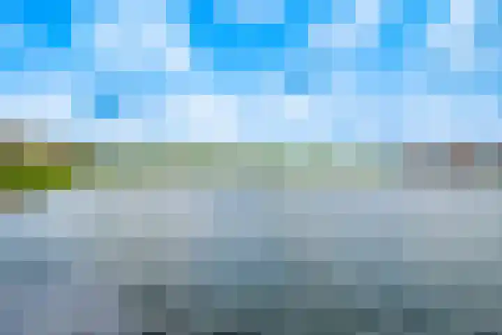Rimpelmos 4 Houten thumbnail 4