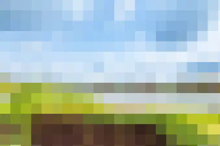 Rimpelmos 4 Houten thumbnail 42