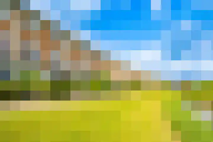 Rimpelmos 4 Houten thumbnail 44