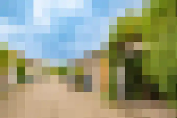 Rimpelmos 4 Houten thumbnail 45
