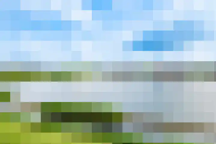 Rimpelmos 4 Houten thumbnail 46