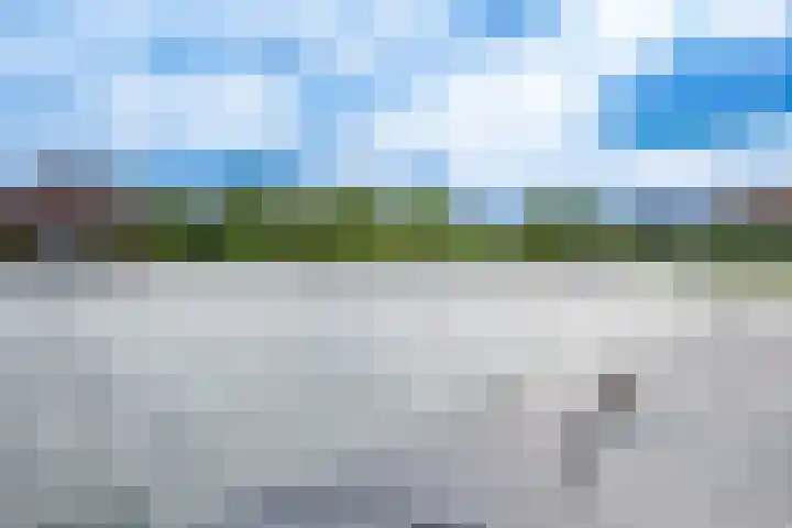 Rimpelmos 4 Houten thumbnail 47