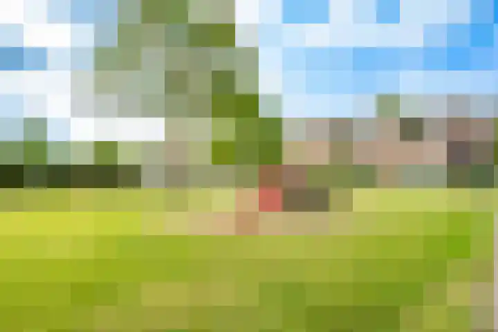 Rimpelmos 4 Houten thumbnail 48