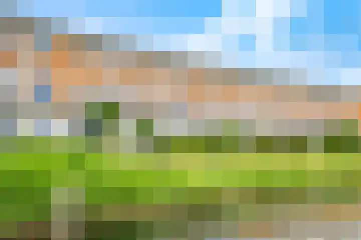 Rimpelmos 4 Houten thumbnail 5