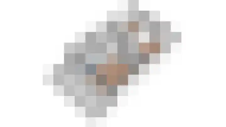 Rimpelmos 4 Houten thumbnail 53
