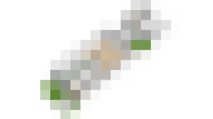 Rimpelmos 4 Houten thumbnail 57
