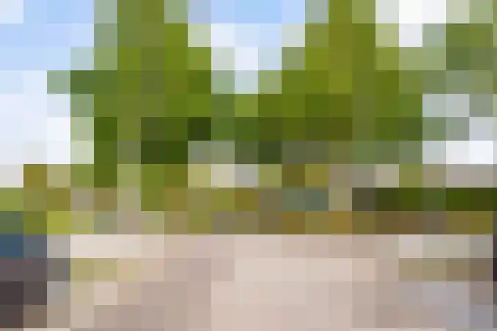Rimsky-Korssakovweg 175 Almere thumbnail 34