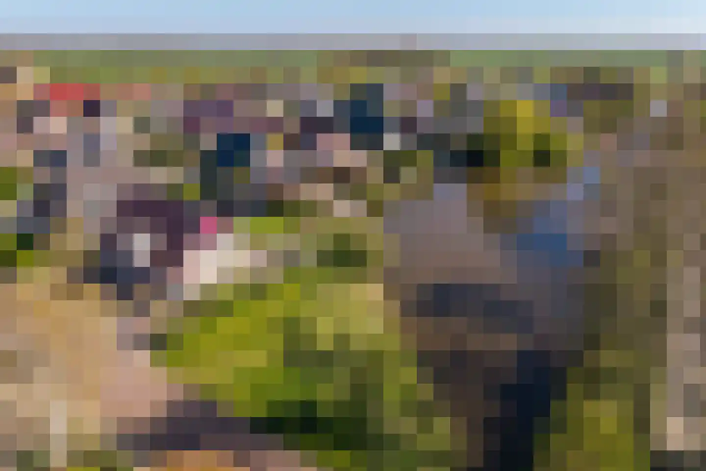 Rinbank 1 Dokkum thumbnail 12