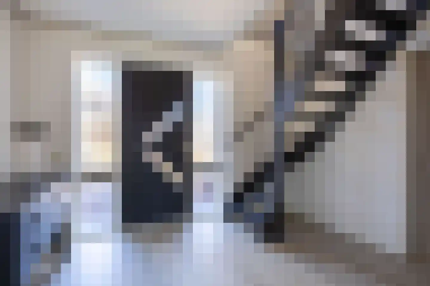 Rinbank 1 Dokkum thumbnail 13