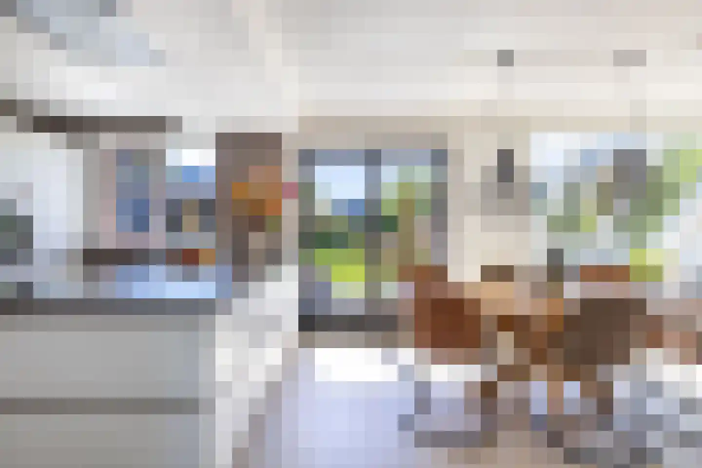 Rinbank 1 Dokkum thumbnail 16