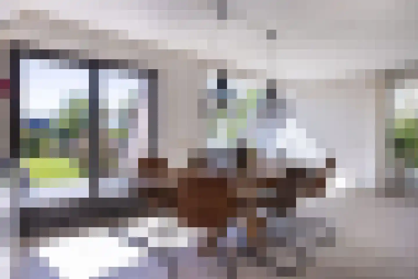 Rinbank 1 Dokkum thumbnail 17