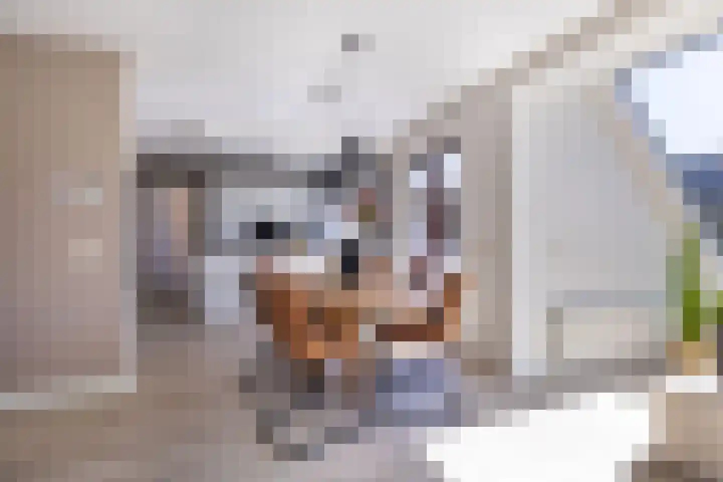 Rinbank 1 Dokkum thumbnail 18