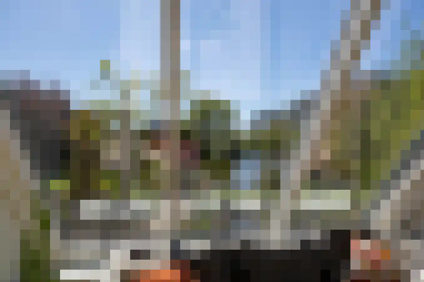 Rinbank 1 Dokkum thumbnail 20