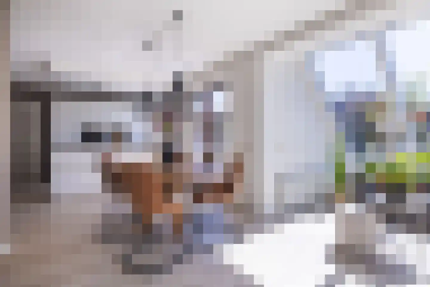 Rinbank 1 Dokkum thumbnail 26