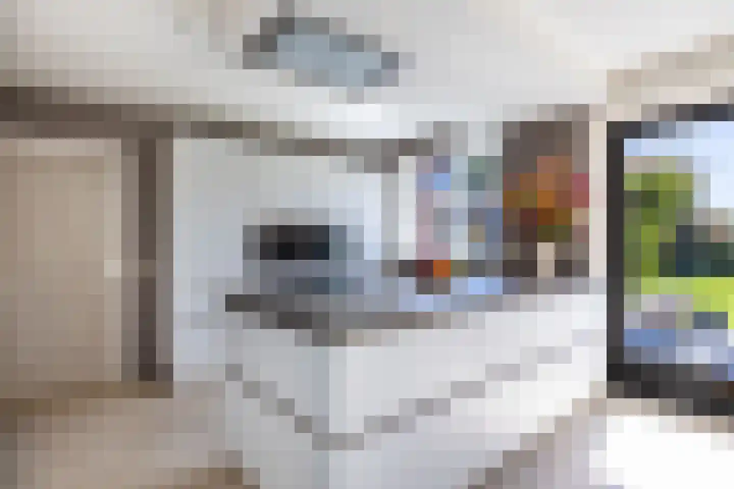 Rinbank 1 Dokkum thumbnail 28