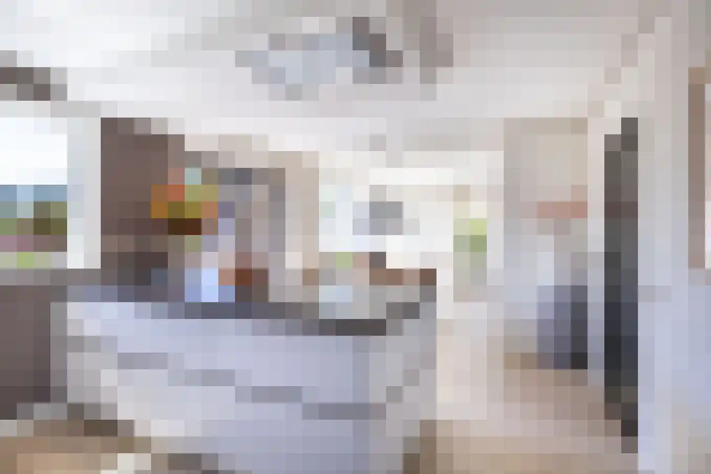 Rinbank 1 Dokkum thumbnail 30