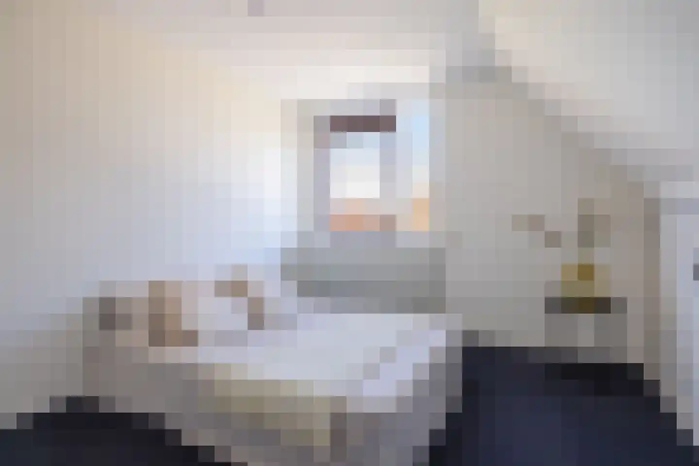 Rinbank 1 Dokkum thumbnail 38