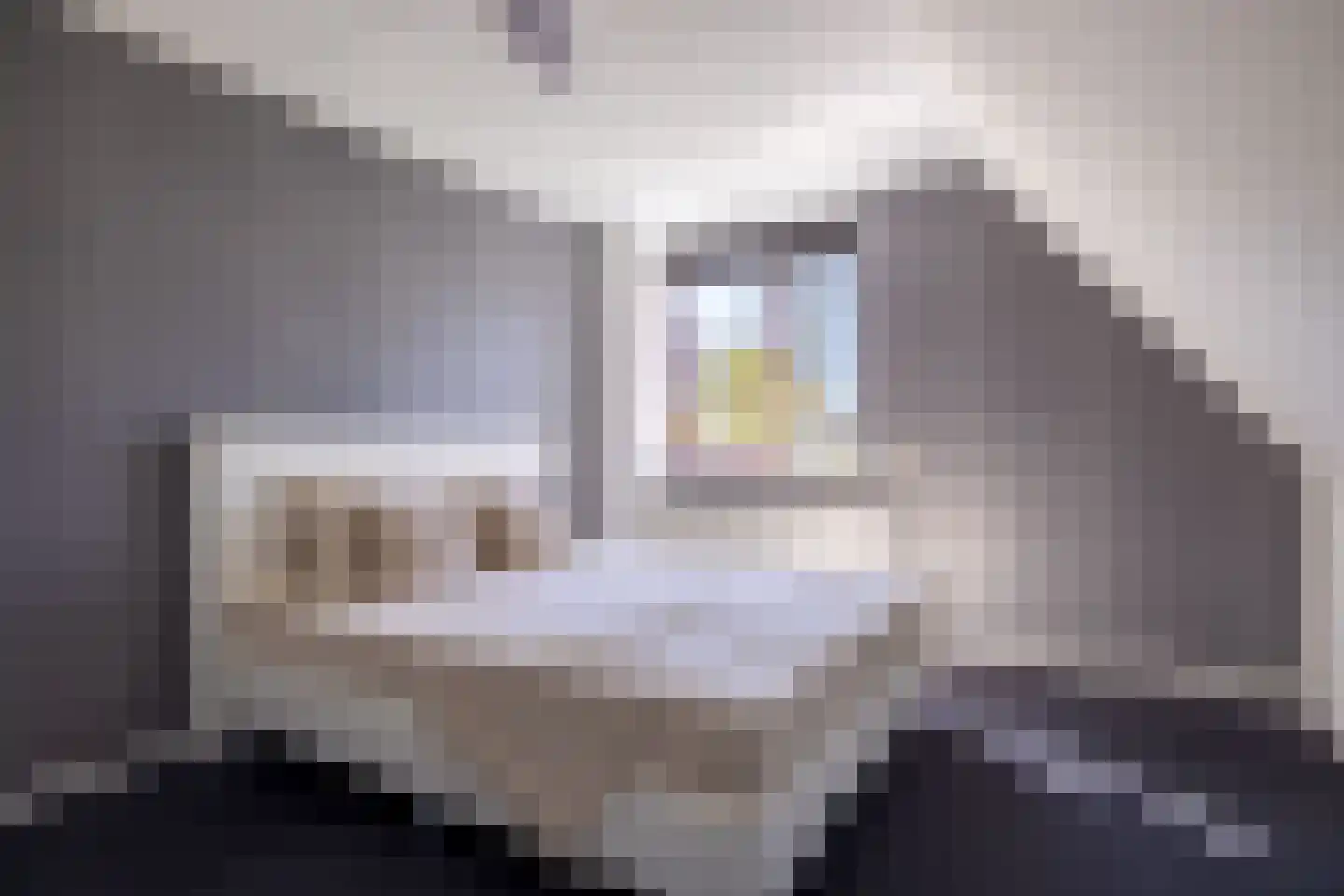 Rinbank 1 Dokkum thumbnail 39