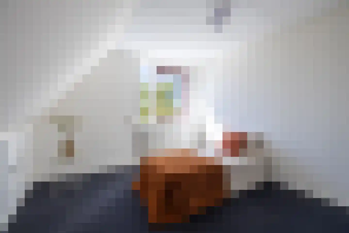 Rinbank 1 Dokkum thumbnail 48