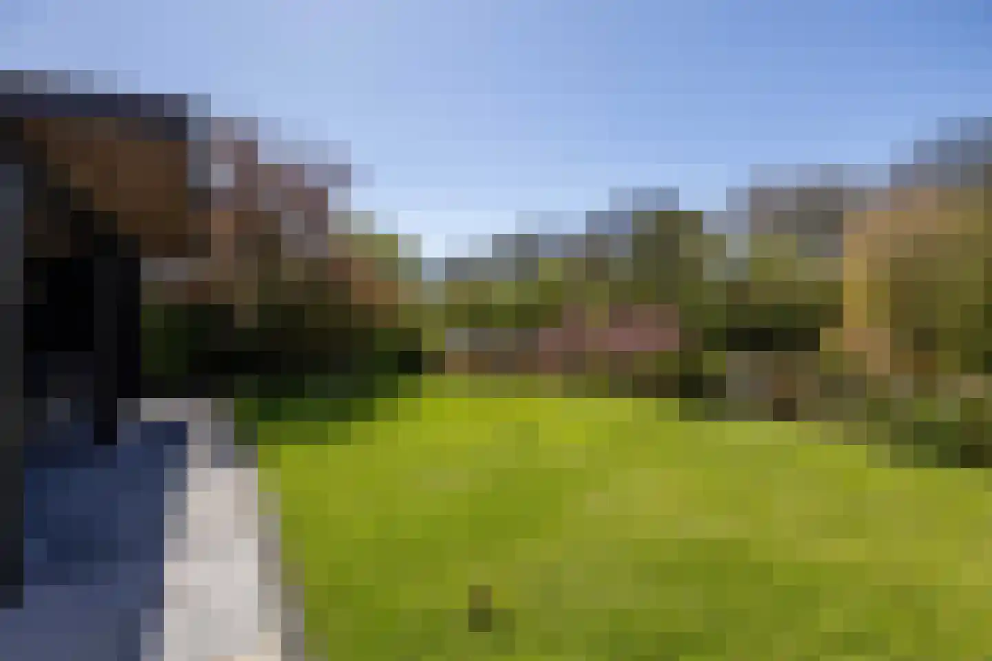 Rinbank 1 Dokkum thumbnail 54
