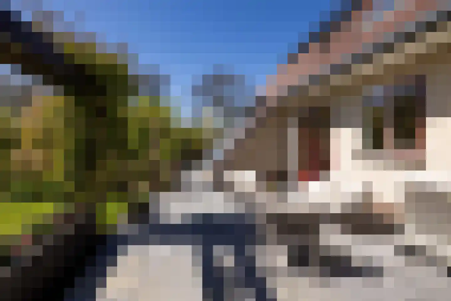 Rinbank 1 Dokkum thumbnail 55