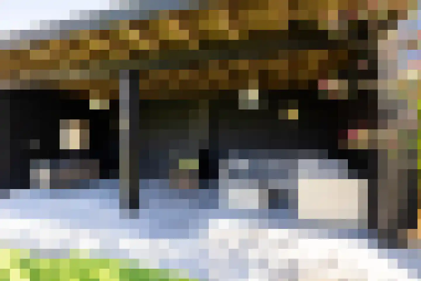 Rinbank 1 Dokkum thumbnail 58