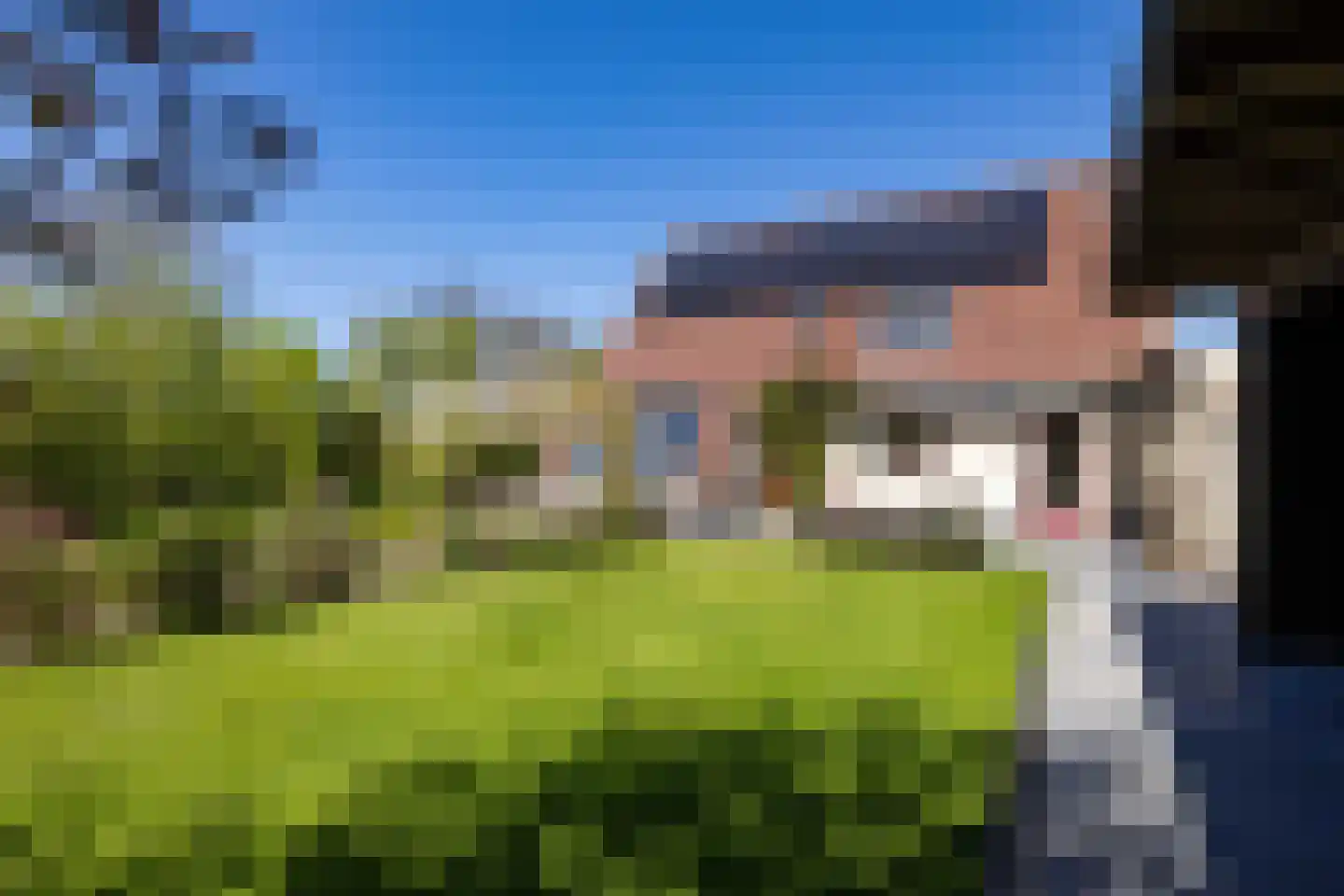Rinbank 1 Dokkum thumbnail 59