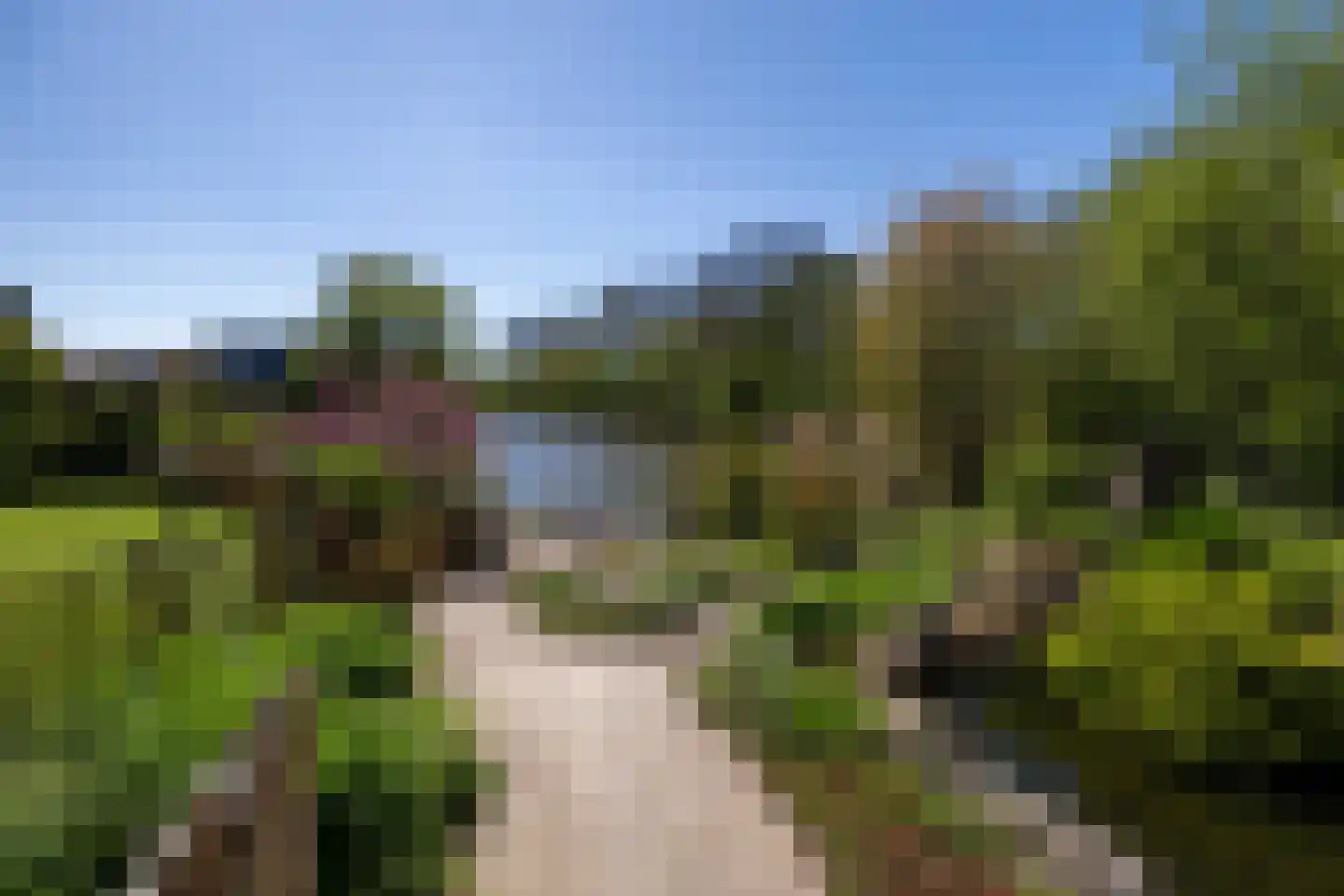 Rinbank 1 Dokkum thumbnail 66