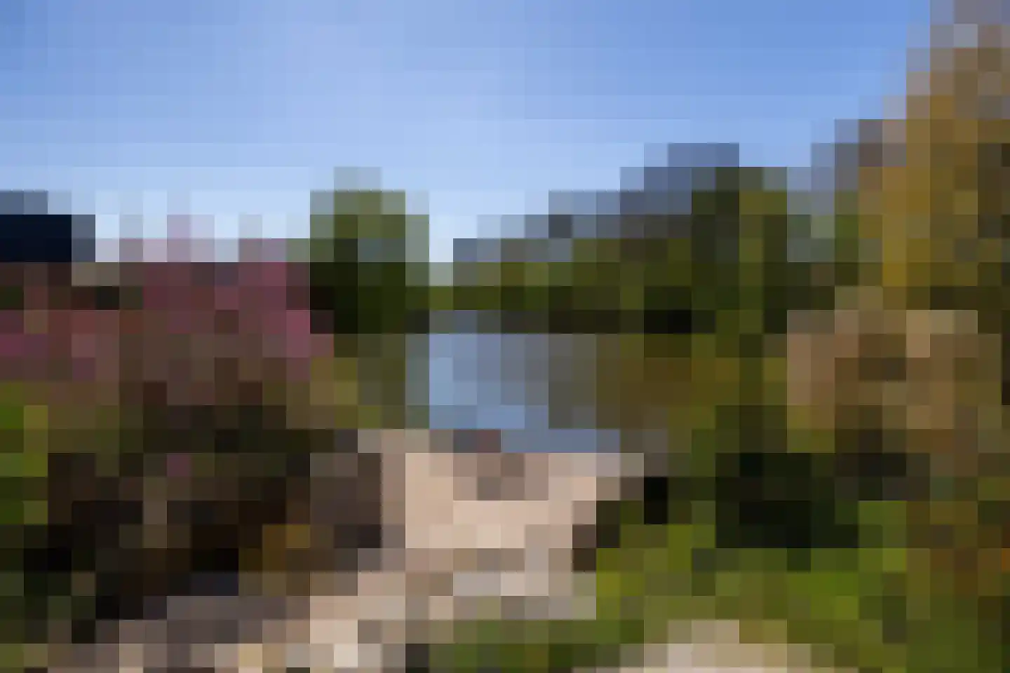 Rinbank 1 Dokkum thumbnail 67