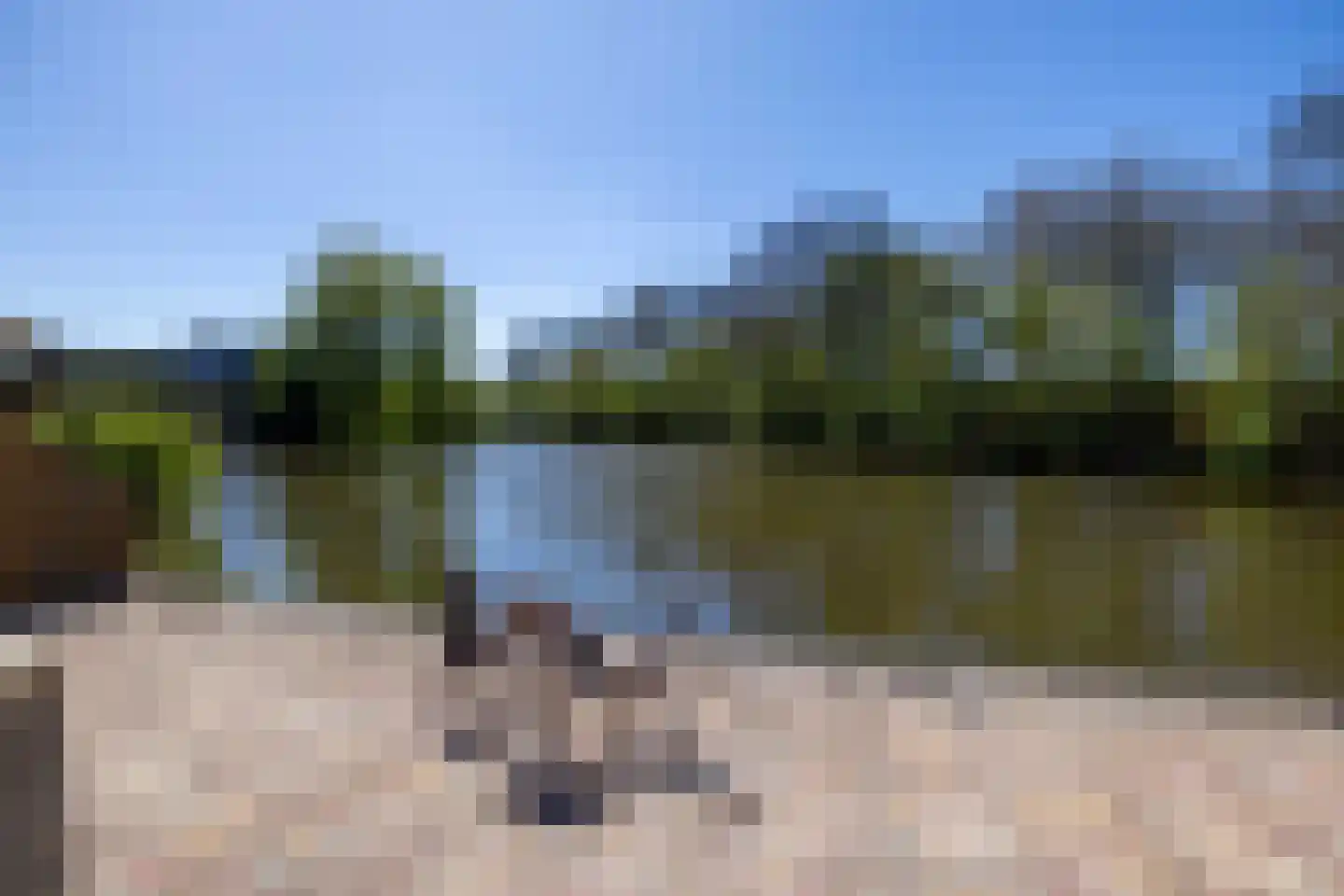 Rinbank 1 Dokkum thumbnail 68
