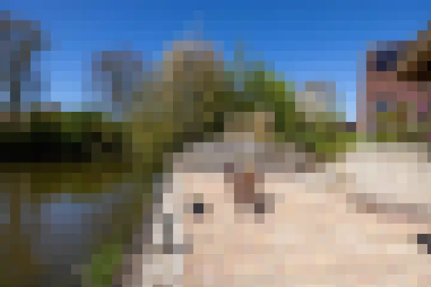 Rinbank 1 Dokkum thumbnail 71