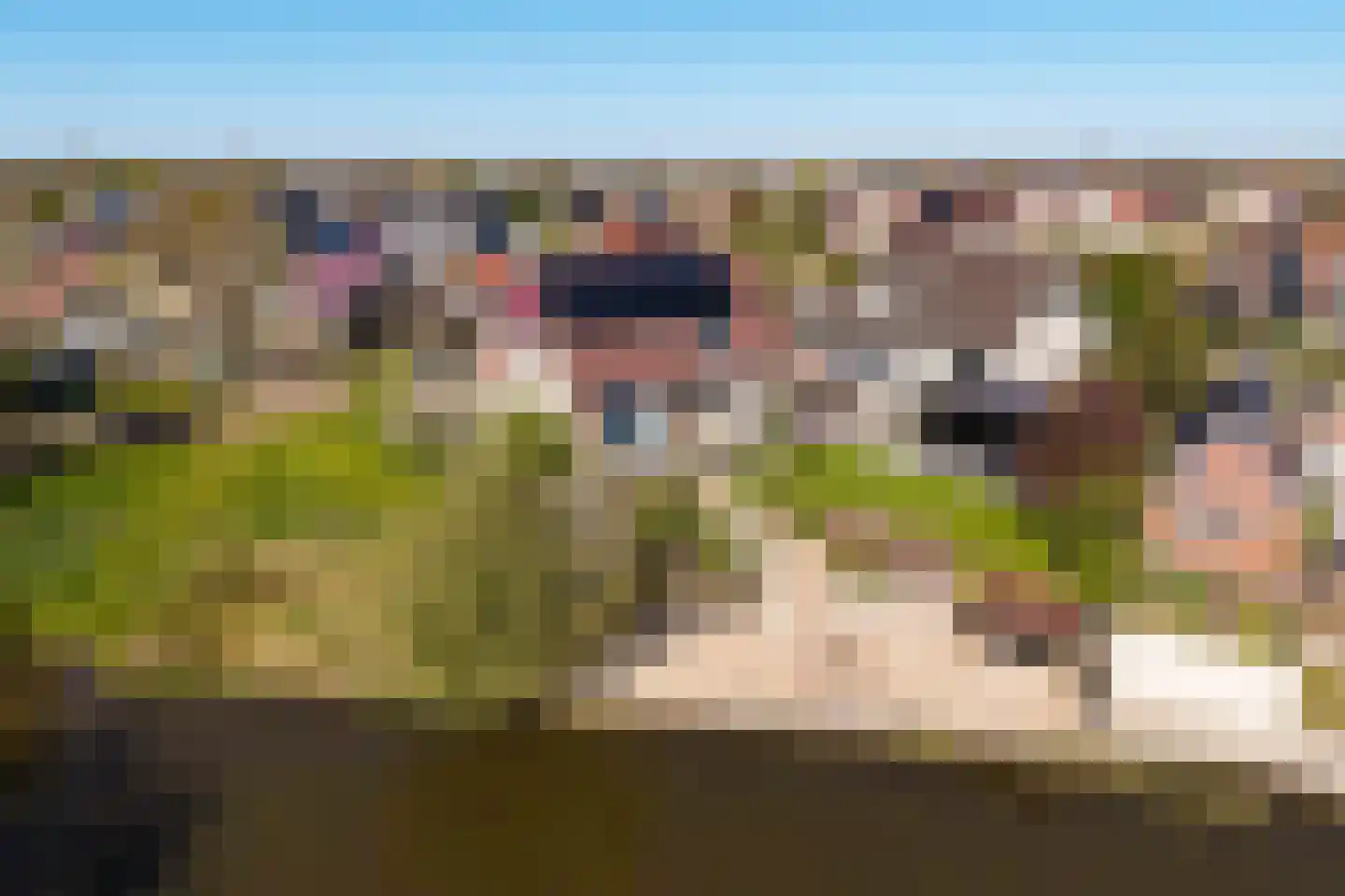 Rinbank 1 Dokkum thumbnail 75