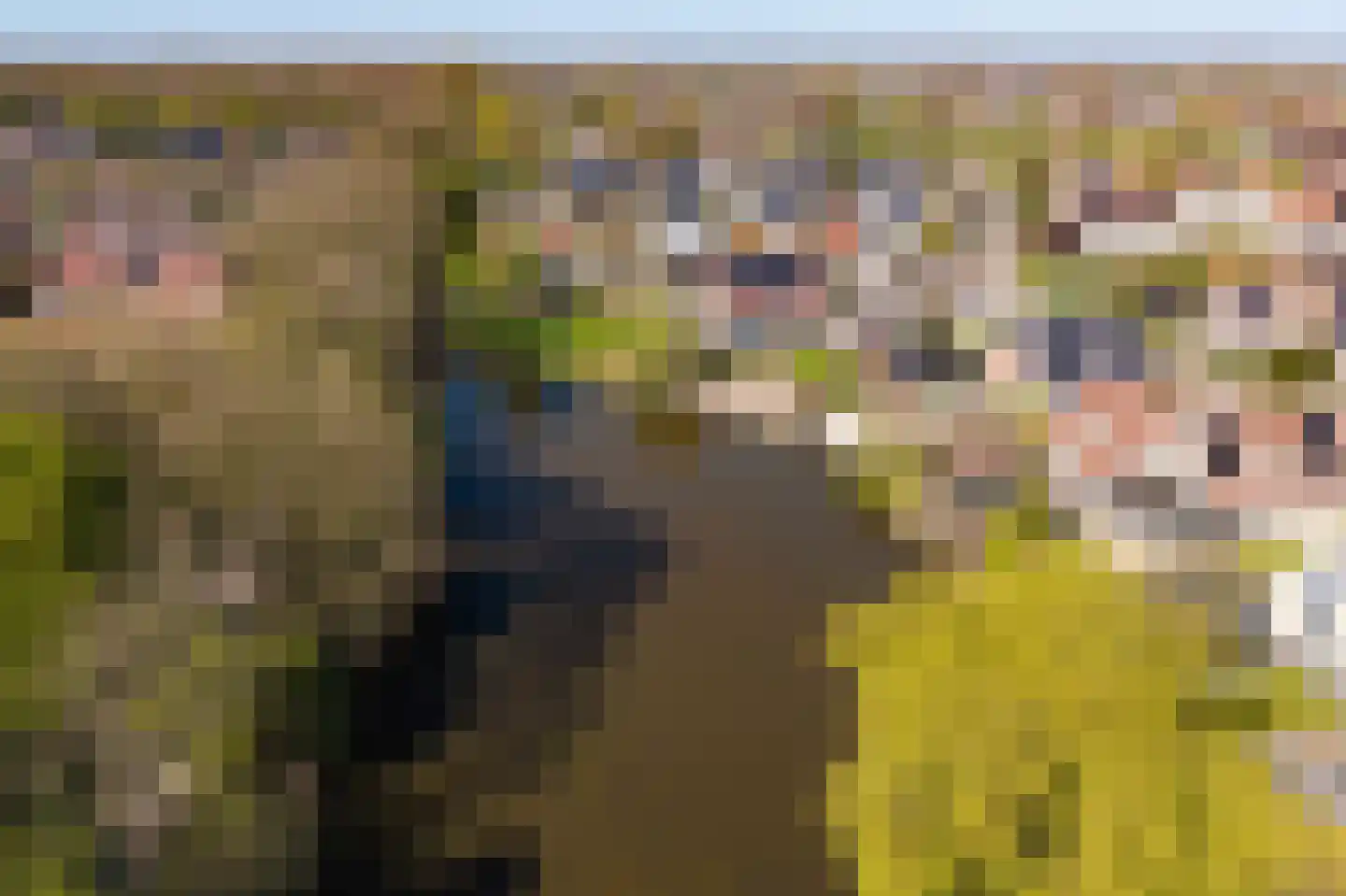 Rinbank 1 Dokkum thumbnail 76