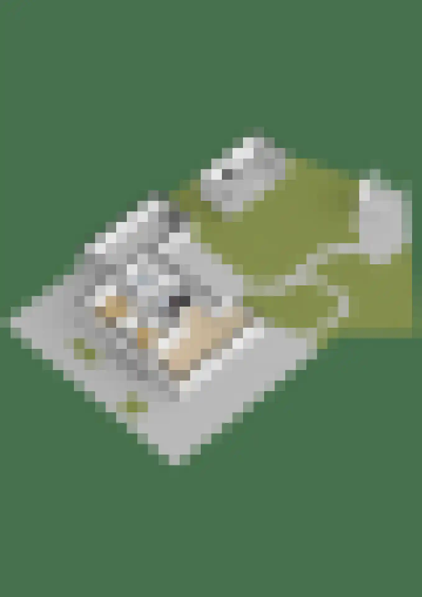 Rinbank 1 Dokkum thumbnail 88