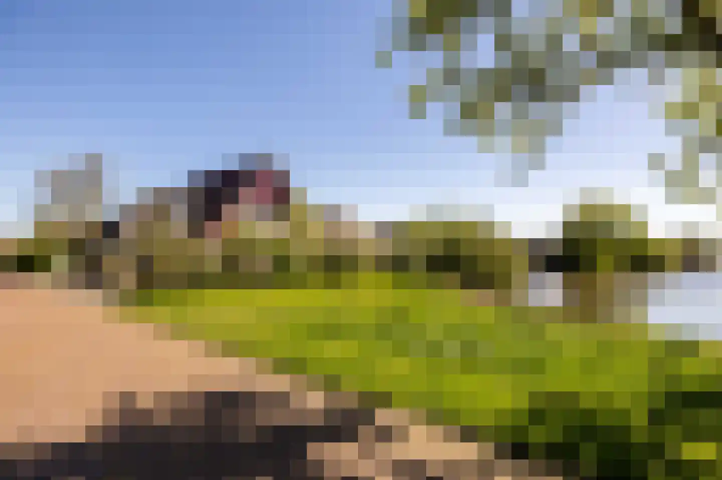 Rinbank 1 Dokkum thumbnail 9