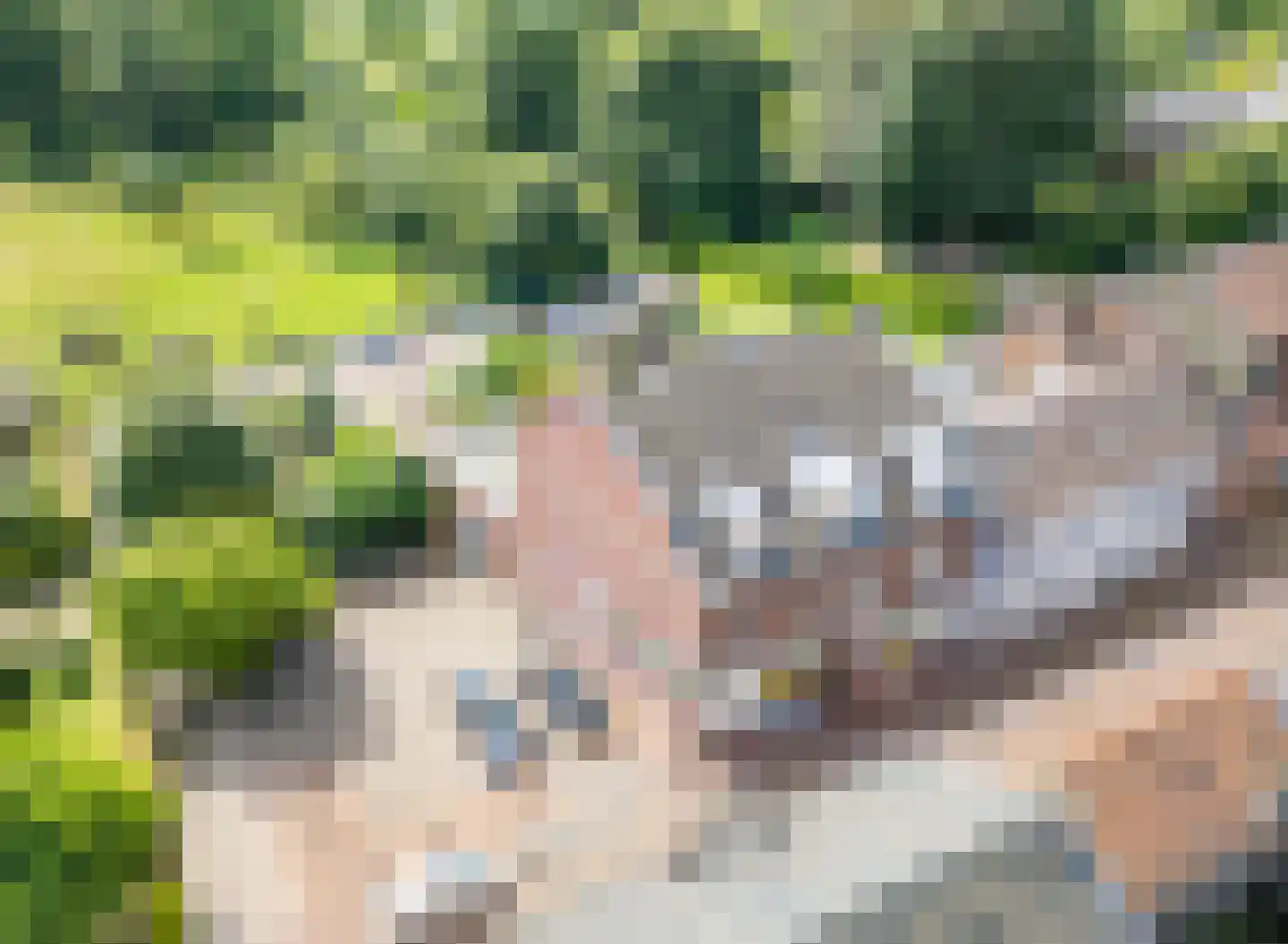Rinckberg 13 Landgraaf thumbnail 21
