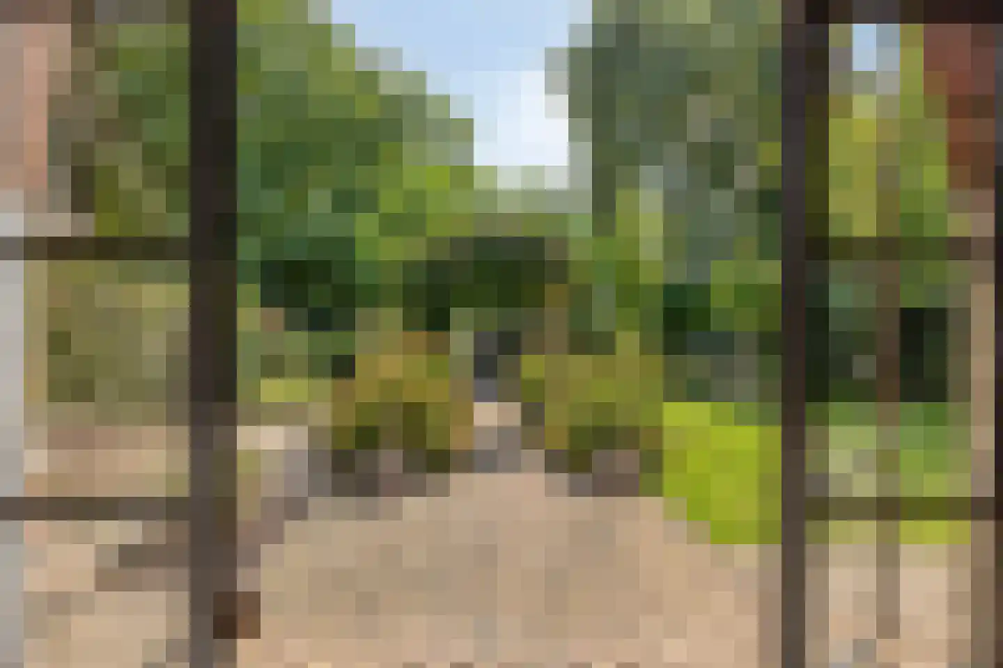 Rinckberg 31 Landgraaf thumbnail 42