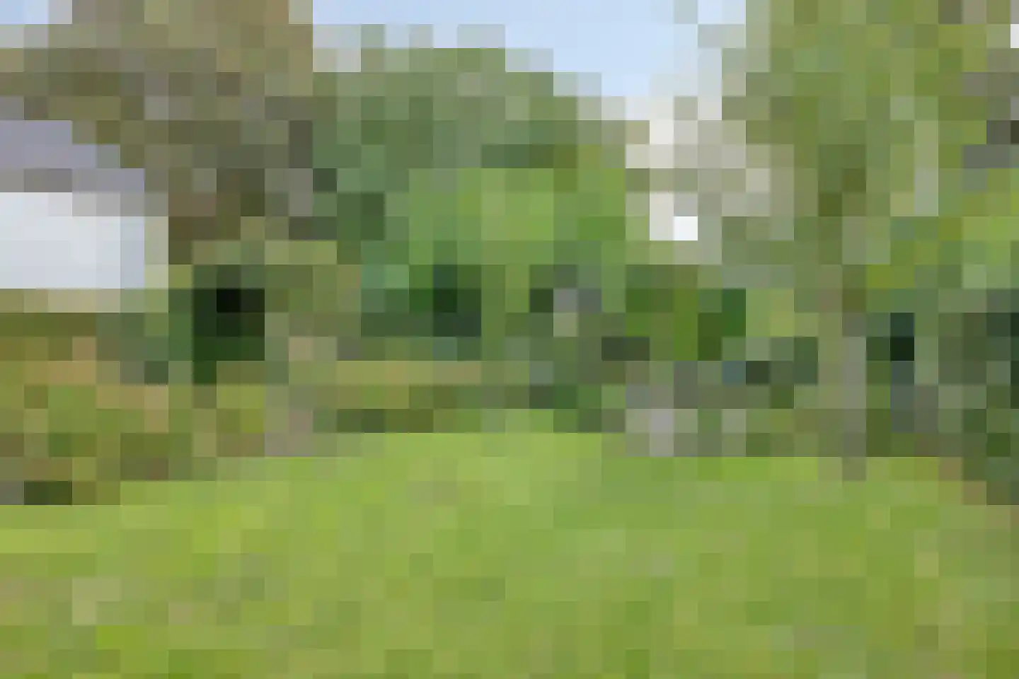 Rinckberg 31 Landgraaf thumbnail 43