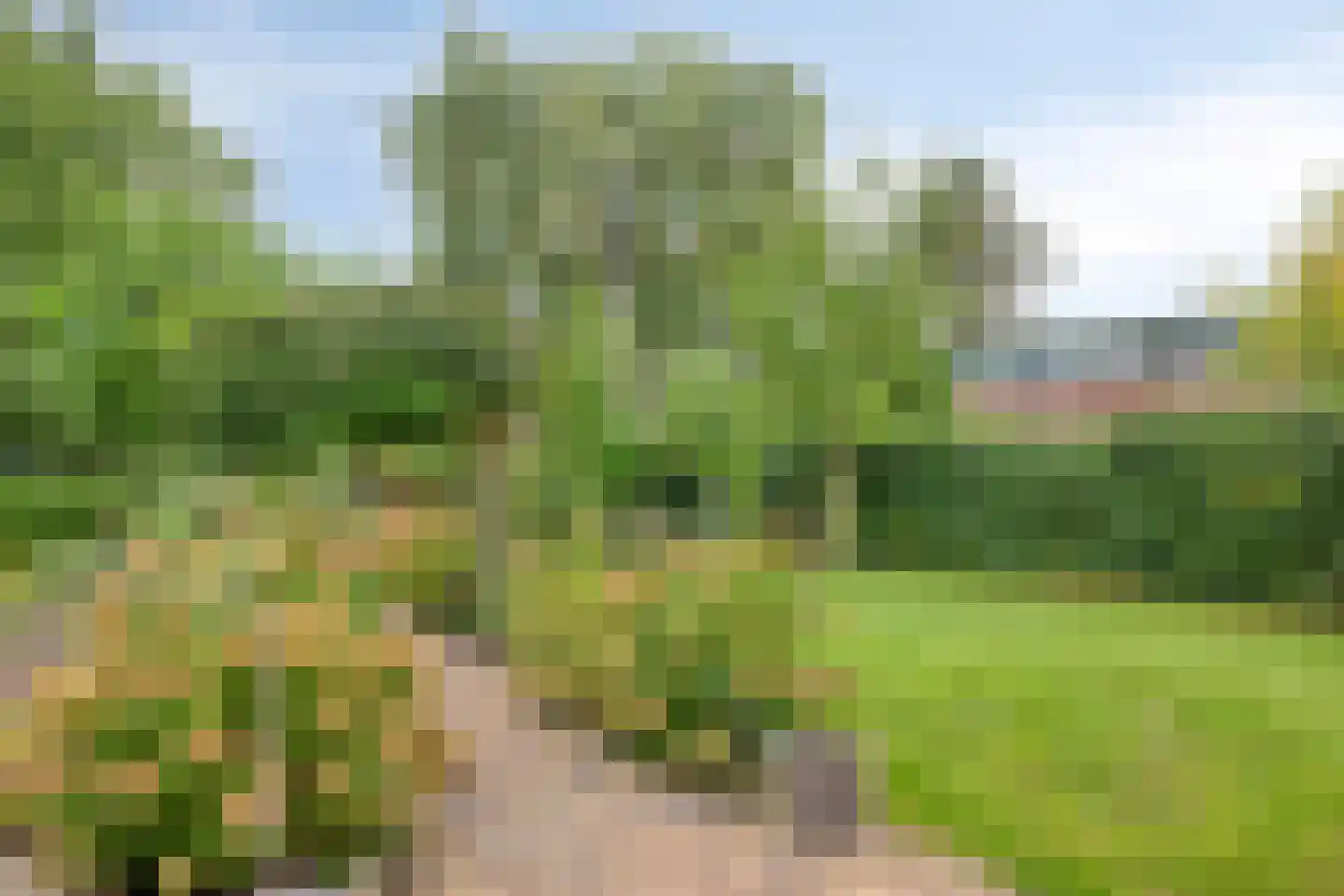 Rinckberg 31 Landgraaf thumbnail 44