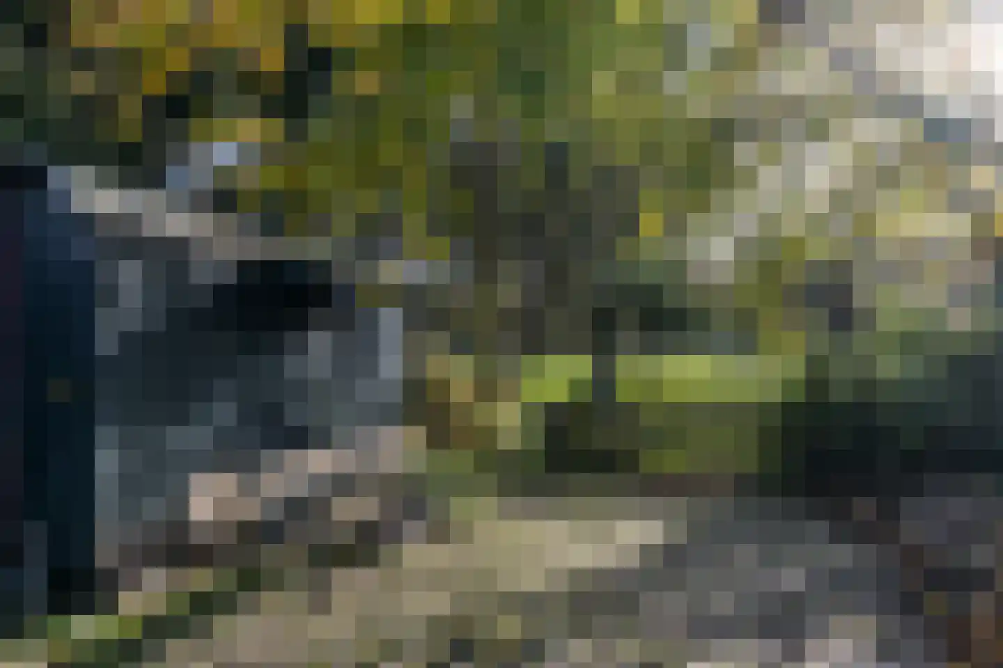 Rinckberg 39 Landgraaf thumbnail 38