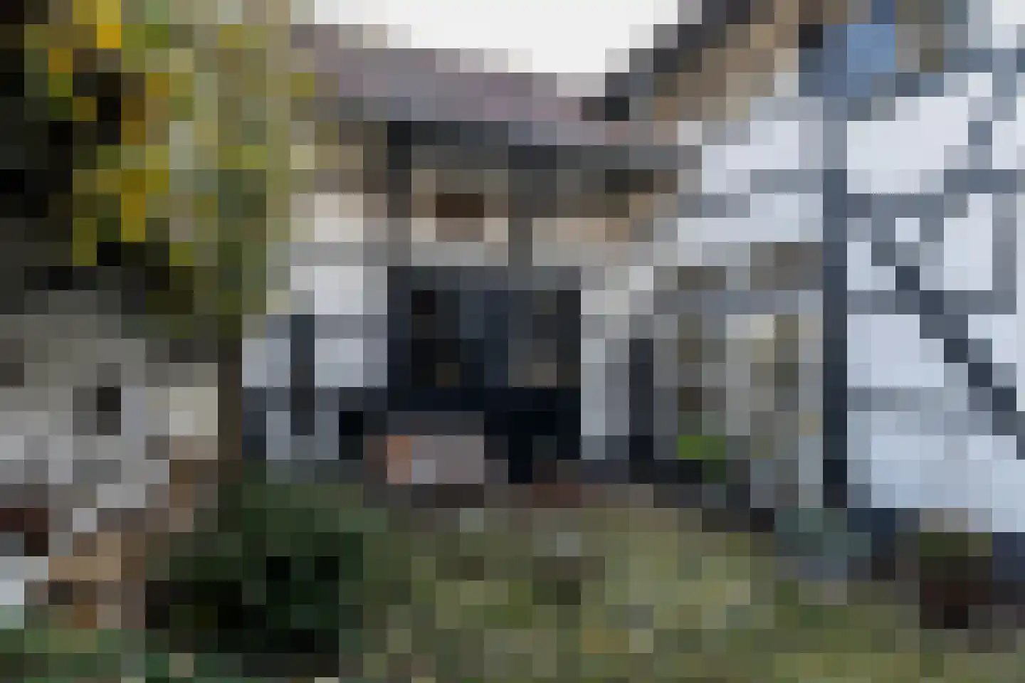 Rinckberg 39 Landgraaf thumbnail 8