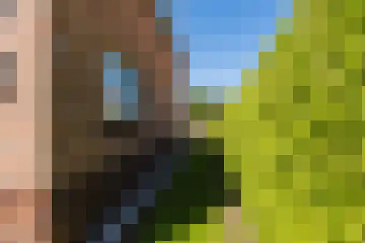 Rindert van Zinderen Bakkerstrjitte 3 Gorredijk thumbnail 12