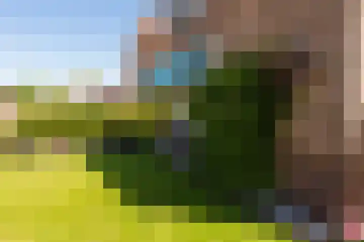 Rindert van Zinderen Bakkerstrjitte 3 Gorredijk thumbnail 15