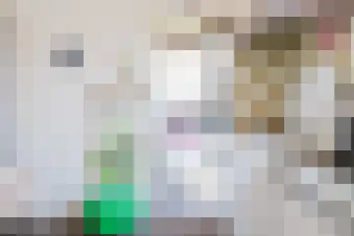 Rindert van Zinderen Bakkerstrjitte 3 Gorredijk thumbnail 28